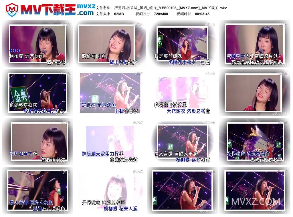 严雯君-苏公堤_国语_流行_MEE00103